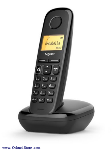 Gigaset A270 Cordless Telephone Black Right